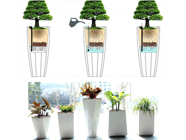 Chậu tự động thông minh