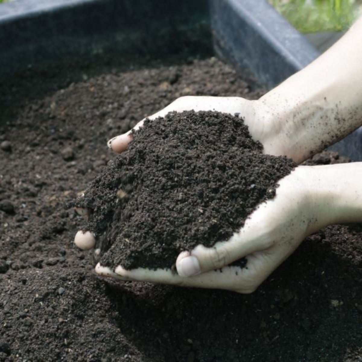 Phân bón hữu cơ