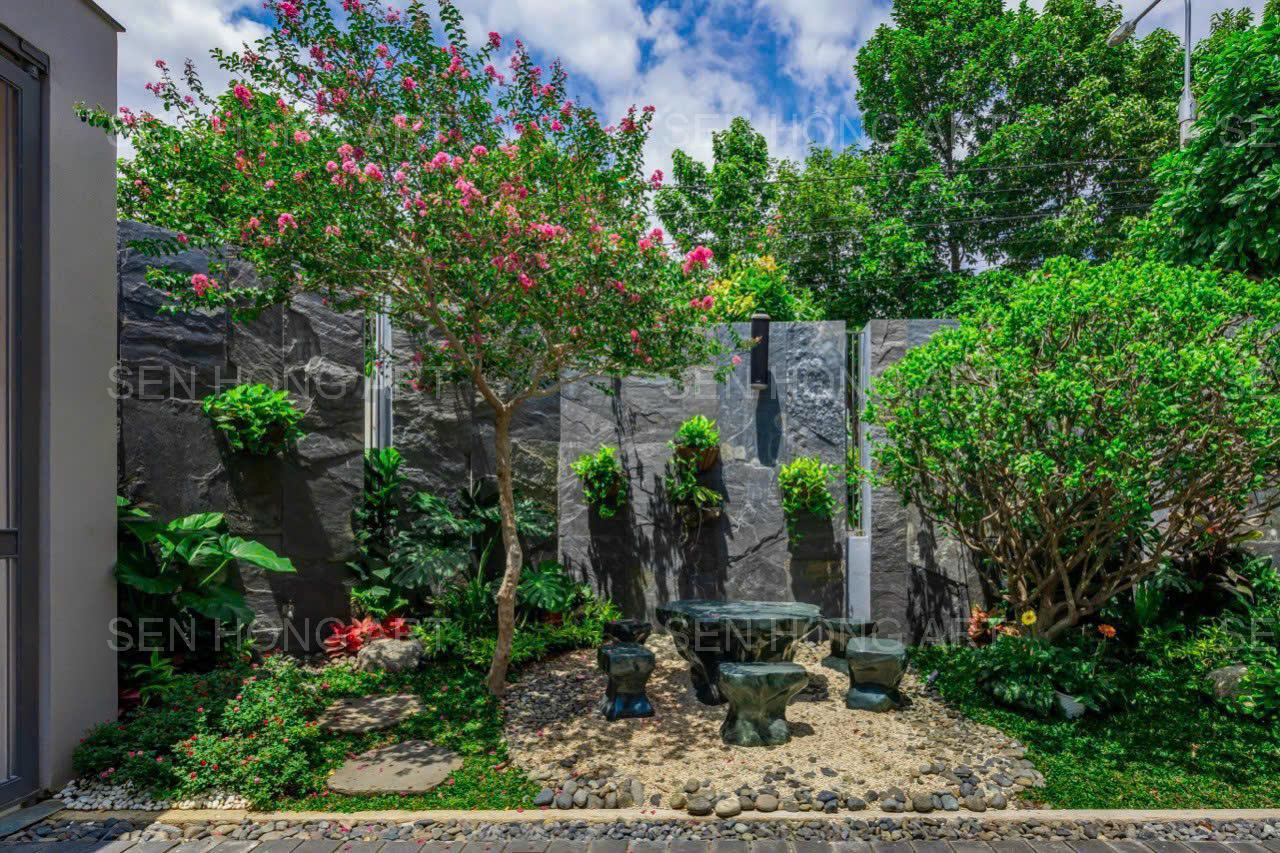 Chăm sóc cây xanh